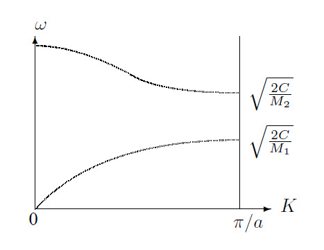 Optical and acoustical branches